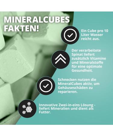 NatureHolic - MineralCube Spinat Power I for mineral intake I with valuable spinach I No water pollution I Ideal food for holidays I 47ml - Buy Online on GoSupps.com