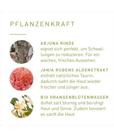 Primavera Eye Cream for Face Cell Renewing 25 ml - Buy Online on GoSupps.com