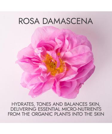 Alteya Organic Rose Water 250ml - Pure Organic Rosa Damascena Hydrolat - No additives - No Artificial Ingredients - USDA Certified Organic - Face Toner Revitalizing Body Condition Hair & Scalp - Buy Online on GoSupps.com