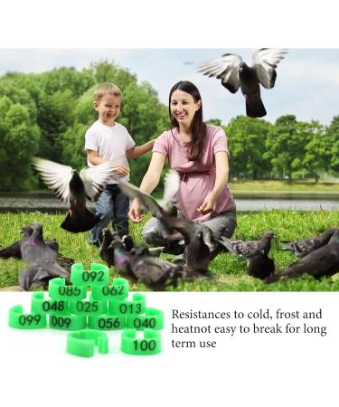 Andiker 100 Pigeon Identification Rings - 8mm Plastic Leg Bands for Birds Parrots Pigeons & Quails (Green) | International Shipping - Buy Online on GoSupps.com