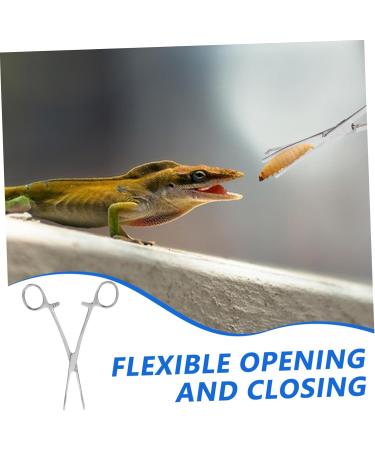 POPETPOP Reptile Feeding Clip Snake Tank Accessories Snake Tong Silver Stainless Steel - Buy Online on GoSupps.com