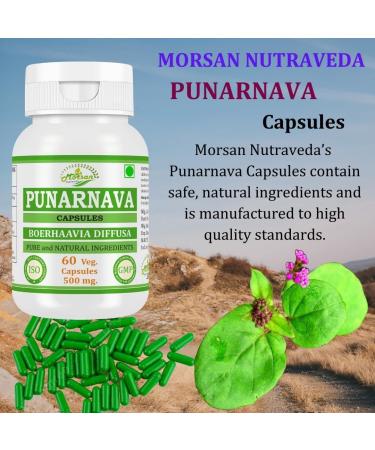Punarnava Capsules | Supports Kidney Health & Natural Detox | Helps Reduce Water Retention | 60 Veg Capsules 1 - Buy Online on GoSupps.com
