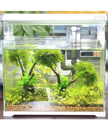 Buy LCD 3D Digital Aquarium Thermometer - Multifunctional Temperature Measurement for Aquariums & Reptile Incubators - International Shipping Available - Buy Online on GoSupps.com