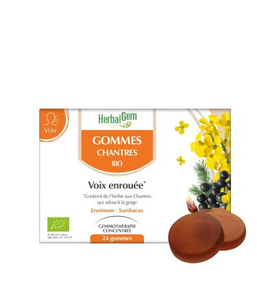 HerbalGem Organic Cantors Erasers Brilliance to the Voice 24 Erasers