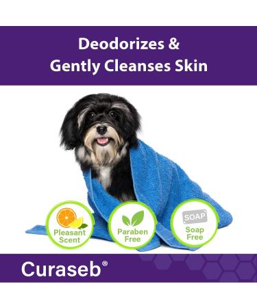 Curaseb Benzoyl Peroxide Dog Shampoo - Veterinary Strength Formula for Dandruff  Scaling  Scratching & Folliculitis Relief - Buy Online on GoSupps.com