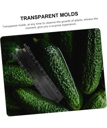 CIYODO 2pcs Melon and Fruit Shaping Mold Vegetables Transparent Cucumber Shaping Mold Cucumber Mold Shaper - Buy Online on GoSupps.com