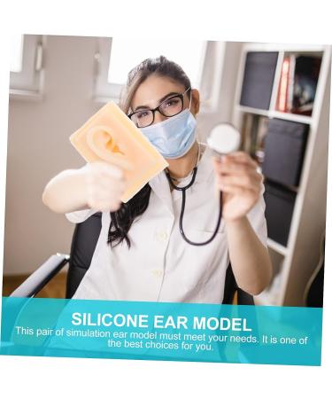 ULTECHNOVO 1 Pair Silicone Ear Models - Human Body Science Teaching Tools - Buy Online on GoSupps.com