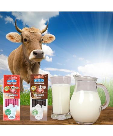 Dr Moo Quick Milk Straw Set - 78 Flavored Straws for Kids: 3X Chocolate (13 Pack) + 3X Strawberry (13 Pack) - Buy Online on GoSupps.com