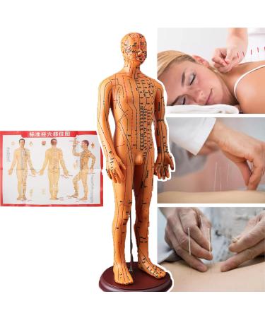 54cm Acupuncture Doll Human Body Acupoint Teaching Model Easy to Move with Point Book/Wall Charts Not Easy to Be Damaged Acupuncture Points Display A