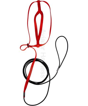 AVIATOR Bird Harness & Leash - Made in America | Red - Perfect for Bird Flight Safety & Comfort - International Shipping Available - Buy Online on GoSupps.com