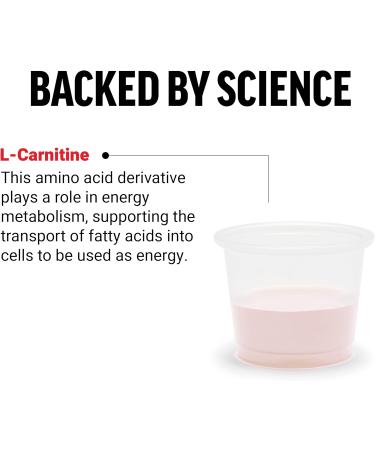 Force Factor L-Carnitine Supplement 3000 mg - Liquid Fat Burner Muscle Recovery Non-GMO Orange Flavor 16 Oz - Buy Online on GoSupps.com