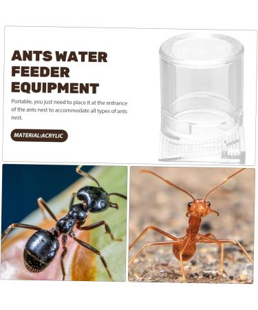 HANABASS Pet Water Feeder Ant Nest Entrance Feeder Ant Waterer for Garden Ant Watering Cup Ant Water Drinking Cup Ant Water Feeder Ant Feeder Station Ants Feeding Device Ant Bowl - Buy Online on GoSupps.com