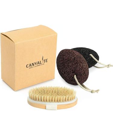 2 Pcs Pumice Stone Dead Hard Skin Callus Remover for Feet/Hands/Body 2 Different Coarse Levels Foot Scrubber Stone with Dry Bath Brush - Buy Online on GoSupps.com