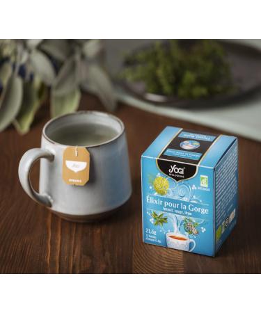Yogi Organic Throat Elixir 100% Organic Fennel Infusion Sage and Thyme 12 Thermo-Sealed Sachets and No Staples 21.5 g 31 - Buy Online on GoSupps.com