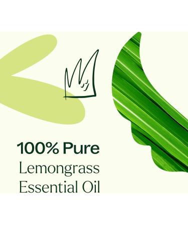 Plant Therapy Lemongrass Essential Oil 100% Pure Undiluted Natural Aromatherapy for Diffuser and Skin Therapeutic Grade 30 mL (1 oz) Lemongrass 1 Fl Oz (Pack of 1) - Buy Online on GoSupps.com