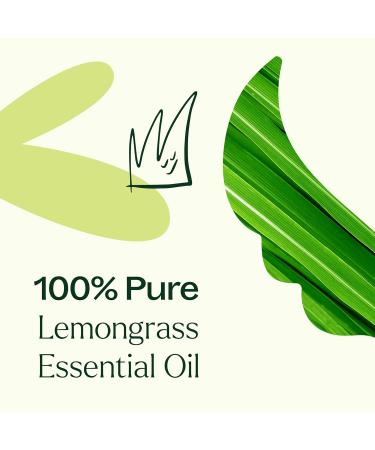 Plant Therapy Lemongrass Essential Oil 100% Pure Undiluted Natural Aromatherapy for Diffuser and Skin Therapeutic Grade 10 mL (1/3 oz) - Buy Online on GoSupps.com