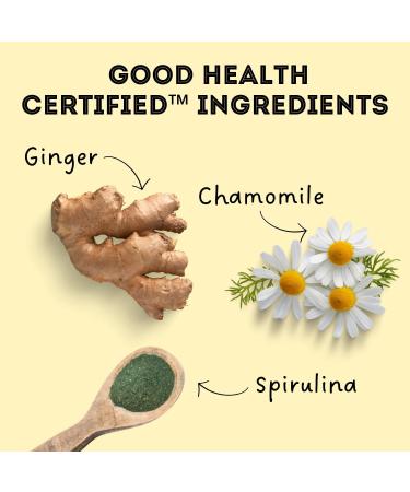 The Granville Island Pet Treatery|Gift Box Chamomile Ginger & Turkey Biscuits for Dogs All Natural & Chemical- Free Great As A Hostess Gift Or Thank You Made in Canada|88865 Ginger & Turkey 135 g (Pack of 1) - Buy Online on GoSupps.com