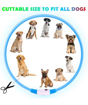 Shop Auauy LED Light Neck Band for Dogs & Cats - USB Charging Adjustable Waterproof Luminous | 3 Modes (Blue) Pet Security Collar - Buy Online on GoSupps.com