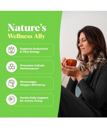 Amazing Botanicals Lemongrass Tincture Organic Cymbopogon Citratus Extract Liquid Natural Herbal Supplement for Wellness 30ml (1oz) 1 Fl Oz (Pack of 1) - Buy Online on GoSupps.com