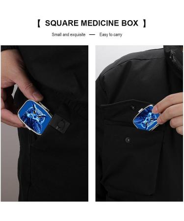 Decorative Blue Owl Pill Box - 2 Compartment Portable Medicine Organizer for Pocket or Purse - Buy Online on GoSupps.com