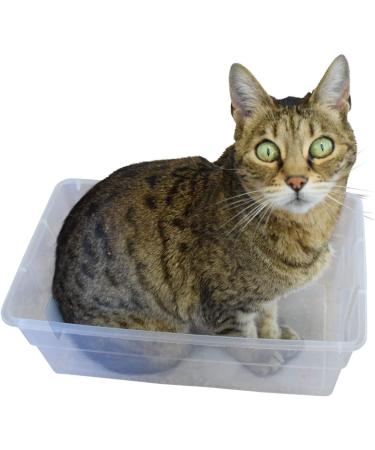 Catnip with Silvervine by Kitty Green Grown in North America - 1 Full OZ in a Resealable Zipper Bag. | Cat Nip | Cat Supplies | - Buy Online on GoSupps.com