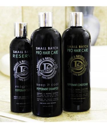 Dave s Premium Sulfate Free Hair Conditioner - 16 oz Argan & Essential Oils for Dry Damaged Hair - Ideal for Men Women & Teens - Buy Online on GoSupps.com