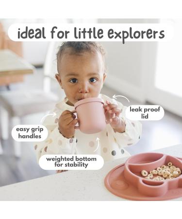 Bubba Bear Baby Cup with Straw | Weighted Sippy Cup for Babies | Non-Spill Bottle for Toddlers | Easy Toddler Drinking Water Bottle in Dusty Pink - Buy Online on GoSupps.com