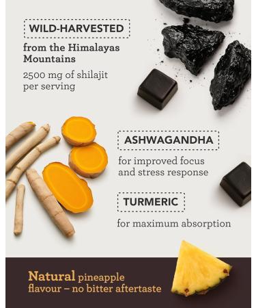 Himalayan Shilajit Gummies Grade Gold Gummies for Men & Women with Ashwagandha & Turmeric - 2500mg High Strength Supplement for Energy & Focus - Pure Authentic Shilajit with Fulvic Acid - Pineapple 1 - Buy Online on GoSupps.com