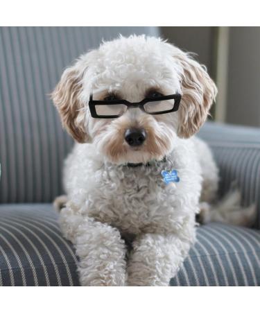 Shop PopetPop Transparent Glasses for Dogs & Puppies - Portable Sunglasses Fun Outfits & Cosplay Accessories - Buy Online on GoSupps.com