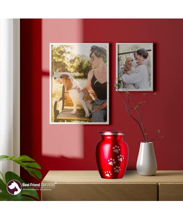 Best Friend Services Ottillie Paws Legacy Pet Urn - Large Ruby Red Brass Cremation Urn for Dogs & Cats Ashes - Hand Carved Memorial Keepsake with Vertical Pewter Paws - Buy Online on GoSupps.com
