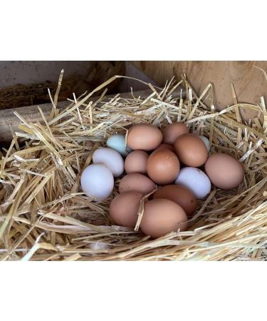 Organic Blue Mountain Hay Bedding Straw for Small Pets & Chickens - 3 lb Fresh Farm Delivery - Buy Online on GoSupps.com