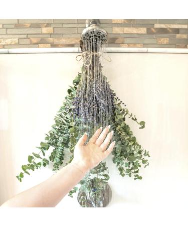 Real Fresh Eucalyptus Large Shower Bundle - 100% Natural Handpicked Leaves for Aromatherapy | Stress-Relieving Indoor Plant Decor - Buy Online on GoSupps.com