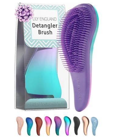 Detangle Hair Brush for Curly Hair Straight Dry & Wet Hair - Detangling Hair Brush for Thick Hair & Fine - Curly Hair Brush for Kids Women & Toddlers - Vegan Detangler Hair Brush by Lily England 1 Count (Pack of 1) A. Ombre