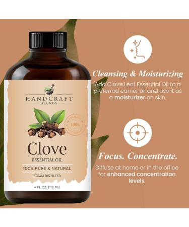 Handcraft Blends Spicy Mint Set: Clove and Spearmint Essential Oils (2 x 4 Fl Oz) 100% Pure & Natural for Diffuser Aromatherapy and DIY Projects - Buy Online on GoSupps.com