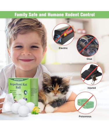 Wanqueen 4 Pack Natural Mouse Repellent Balls - Peppermint Oil Rodent Deterrent for Pest Control | Indoor Mice and Rats Repellent Solution - Buy Online on GoSupps.com