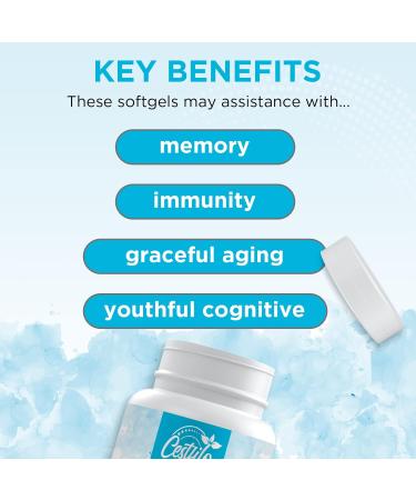 Fisetin with Quercetin 1200mg | Liposomal Encapsulated Anti Aging Supplement | Non-GMO, Gluten Free (60 Softgels) - Buy Online on GoSupps.com