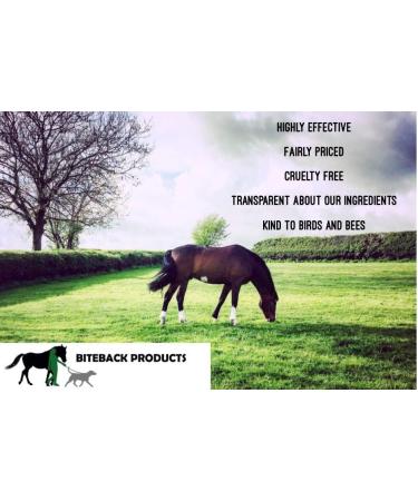 Biteback Products Mudbar Plus Antibacterial Cream with Silver 250g for Muddy & Wet Horse Skin - Buy Online on GoSupps.com