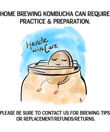Big Blighty Baby - Kombucha Black Tea Starter SCOBY - 5L at Home - Certified Organic - Make Your Own - Blighty Booch Baby - Vegan Symbiotic Culture of Bacteria and Yeast with Starter Fluid - Buy Online on GoSupps.com
