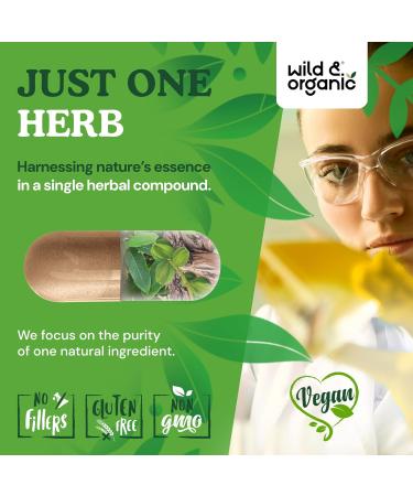 Wild & Organic Arjuna Bark Capsules - Overall Support - Arjuna Powder Supplement - 180 Herbal Capsules - 6-Month Supply - Terminalia Bark & Leaf Extract - Vegan No Fillers Non-GMO 180 Count (Pack of 1) - Buy Online on GoSupps.com