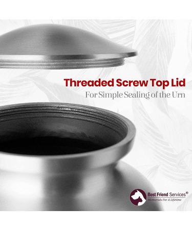 Best Friend Services Ottillie Paws Legacy Pet Urn - Large Ruby Red Brass Cremation Urn for Dogs & Cats Ashes - Hand Carved Memorial Keepsake with Vertical Pewter Paws - Buy Online on GoSupps.com