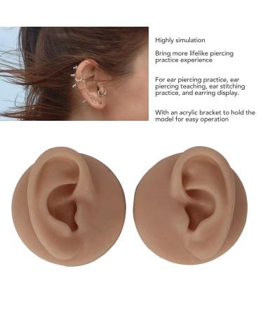 Silicone Ear Model for Display and Acupuncture Practice - Deep Skin Color - Buy Online on GoSupps.com