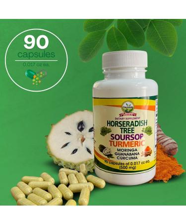 vidaherbal Moringa Guanabana Soursop Curcuma Turmeric 90 Capsules (500 mg) Powerful Blend of Natural Ingredients Dietary Supplement. - Buy Online on GoSupps.com