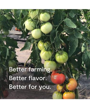 Tomato Bliss Original Heirloom Tomato Basil Soup 16 oz 2-Pack - All Natural, Non-GMO, Vegan, Dairy-Free, No Added Sugar, High in Vitamin C and Antioxidants - Buy Online on GoSupps.com