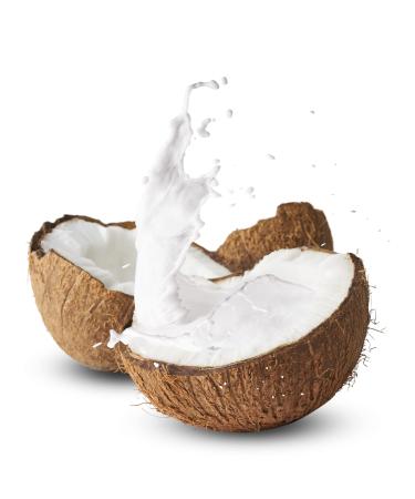 EcoEcho Organic Coconut Milk Powder (Unsweetened Non GMO) - 1kg / 2.2Lb