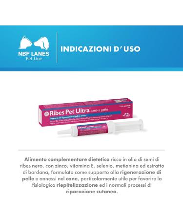 NBF Lanes Ribes Pet Ultra Paste 30g - Buy Online on GoSupps.com