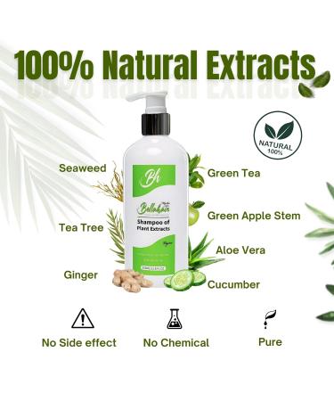 Bellahair Moisturizing Shampoo - Sulfate Free Organic Color Safe for Dry Damaged Hair | Hydrate Volumize & Restore Shine - Buy Online on GoSupps.com