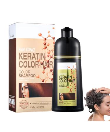 Zankie Silver gray hair color shampoo natural hair color shampoo 6in1 hair dye covers gray hair longlasting color shampoo for men and women for gray hair 500 ml