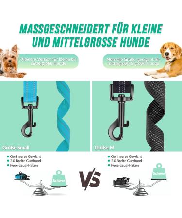 Buy NASJAC Double Dog Leash - No Tangle 360 Rotatable Adjustable Bungee Reflective Leash for Small Medium & Large Dogs - 2-Color Black & Aquamarine - Buy Online on GoSupps.com