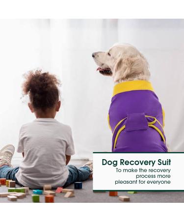 Kuoser Breathable Dog Recovery Body Suit for After Surgery - Anti-Licking & Leak Protection for Male and Female Dogs - Purple XXL (1 Pack) - Buy Online on GoSupps.com