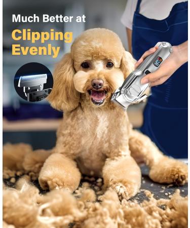 Professional 2-in-1 Dog Clippers & Paw Trimmer Kit | Low Noise Cordless Grooming Set for Dogs & Cats | Stainless Steel Blade | Waterproof | Black Silver - Buy Online on GoSupps.com